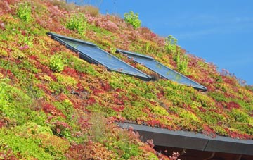 Yerbeston living roof systems